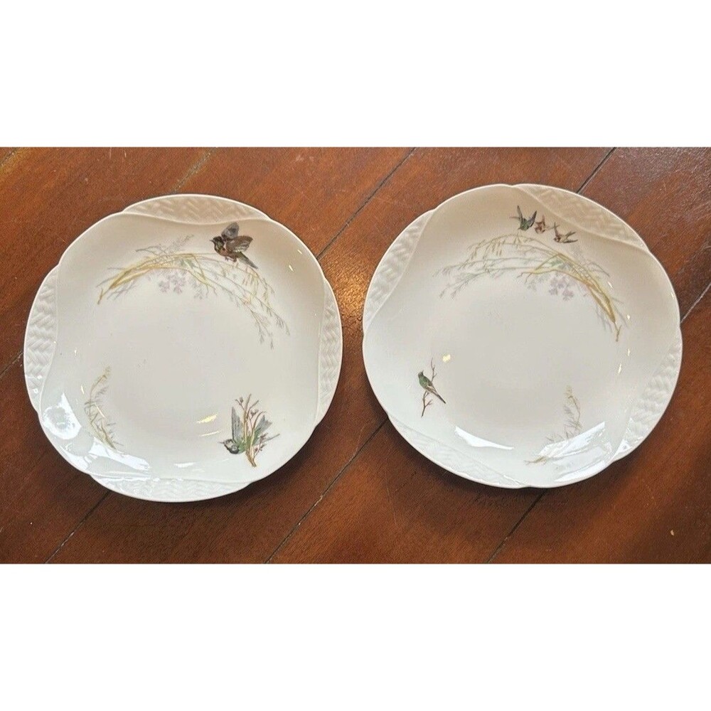 2 Haviland Limoges Meadow Visitors Coupe Salad Plates Birds Gallery Wall Decor